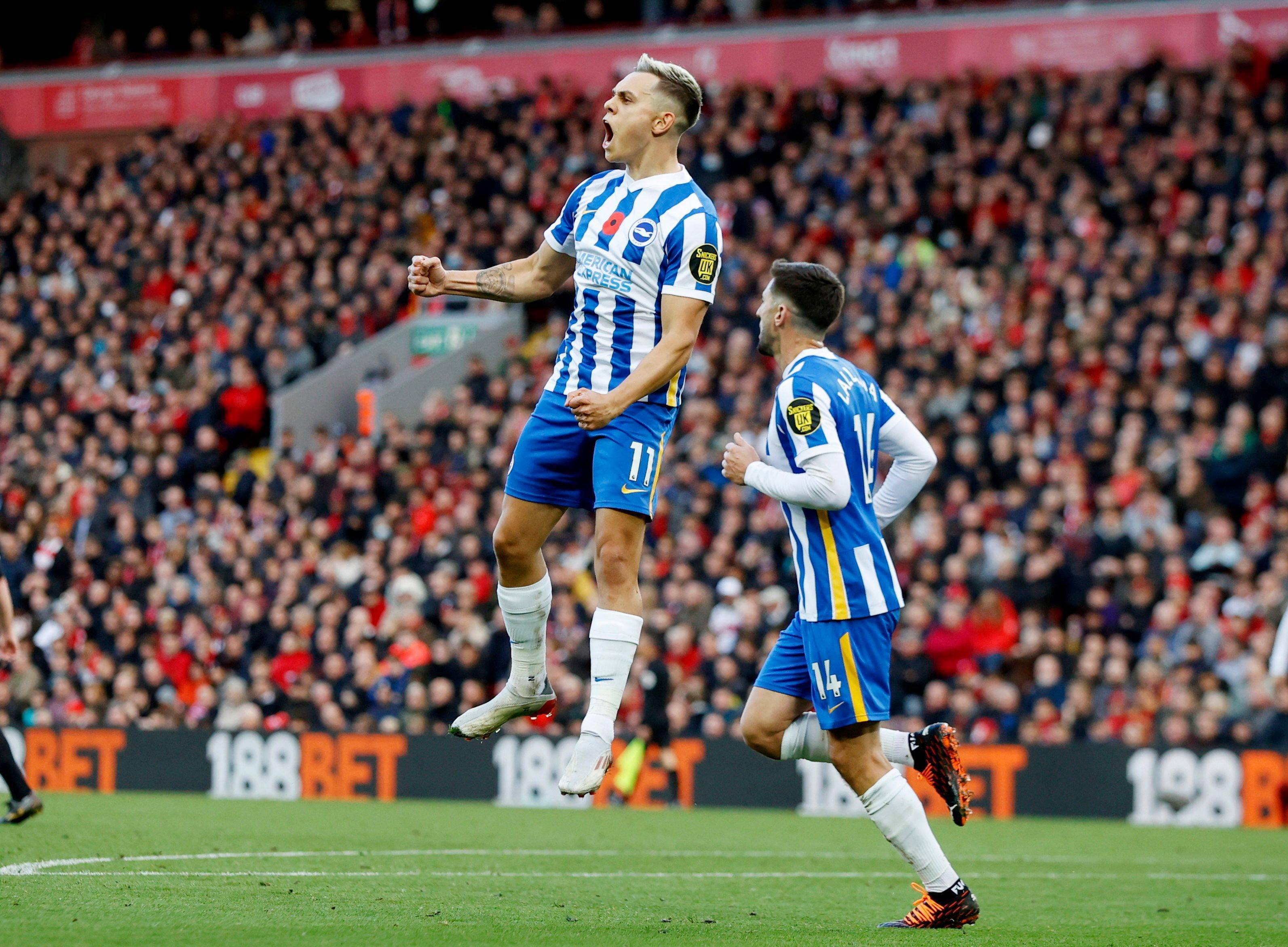 是众所瞩目 是众所瞩目